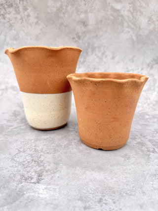Melrose Scalloped Planter