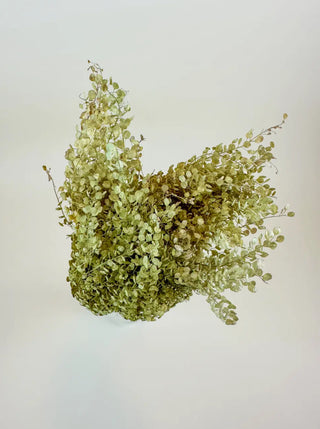 Natural Dried Pepper Grass