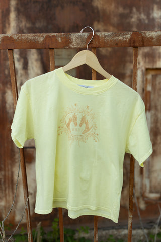 Reflections - WAX YELLOW