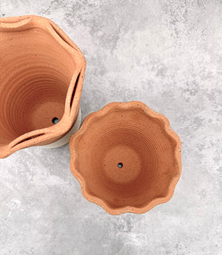 Melrose Scalloped Planter