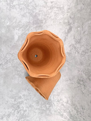 Melrose Scalloped Planter