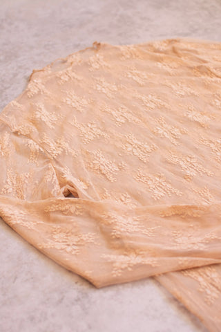 The Lacy - Wild Features Collective