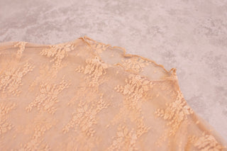 The Lacy - Wild Features Collective