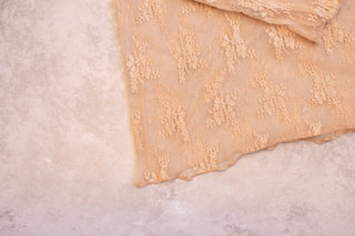 The Lacy - Wild Features Collective