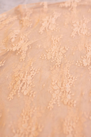 The Lacy - Wild Features Collective