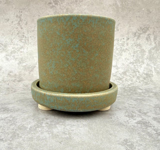 Agatha Planter & Tray
