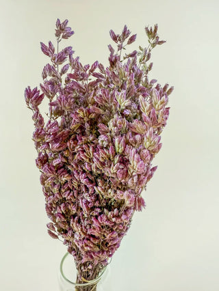 Natural Dried Santa Cruz Oregano