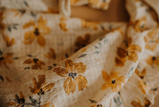 The Daisy - Wild Features Collective