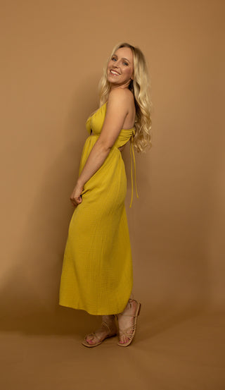 The Wilder - Wild Features Collective