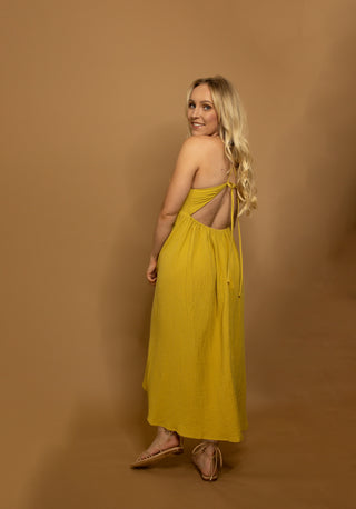 The Wilder - Wild Features Collective